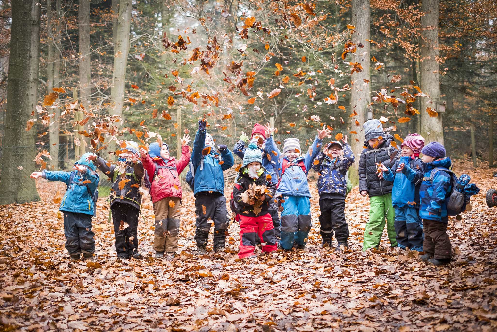 Pforzheimer Waldkindergarten am Wildpark – Natur und Wald